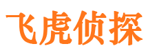 察雅侦探公司